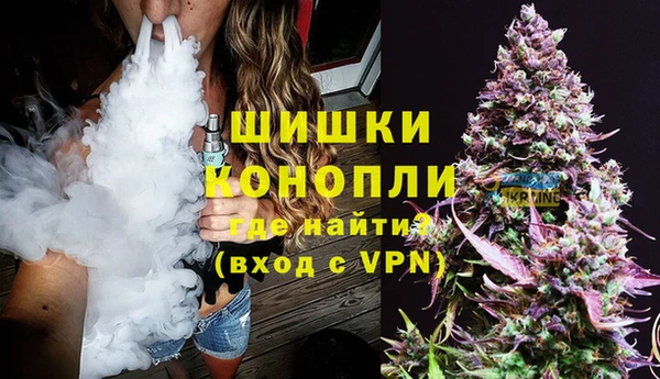 соль ск Новодвинск