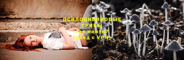 крисы Новокубанск
