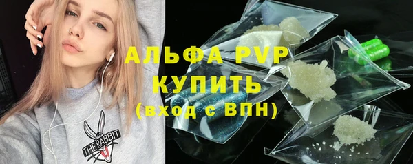 соль ск Новодвинск