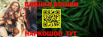 spice Кингисепп