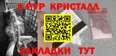 spice Кингисепп