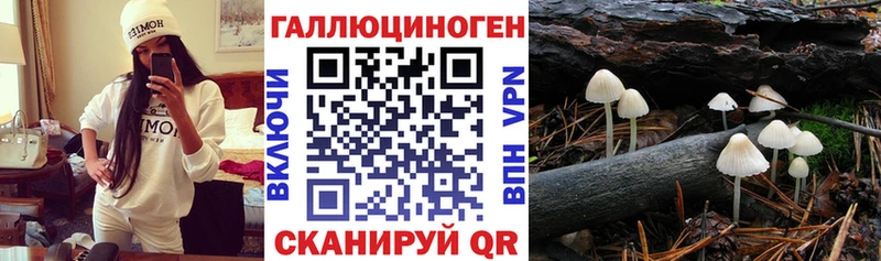 Галлюциногенные грибы мицелий  Набережные Челны 