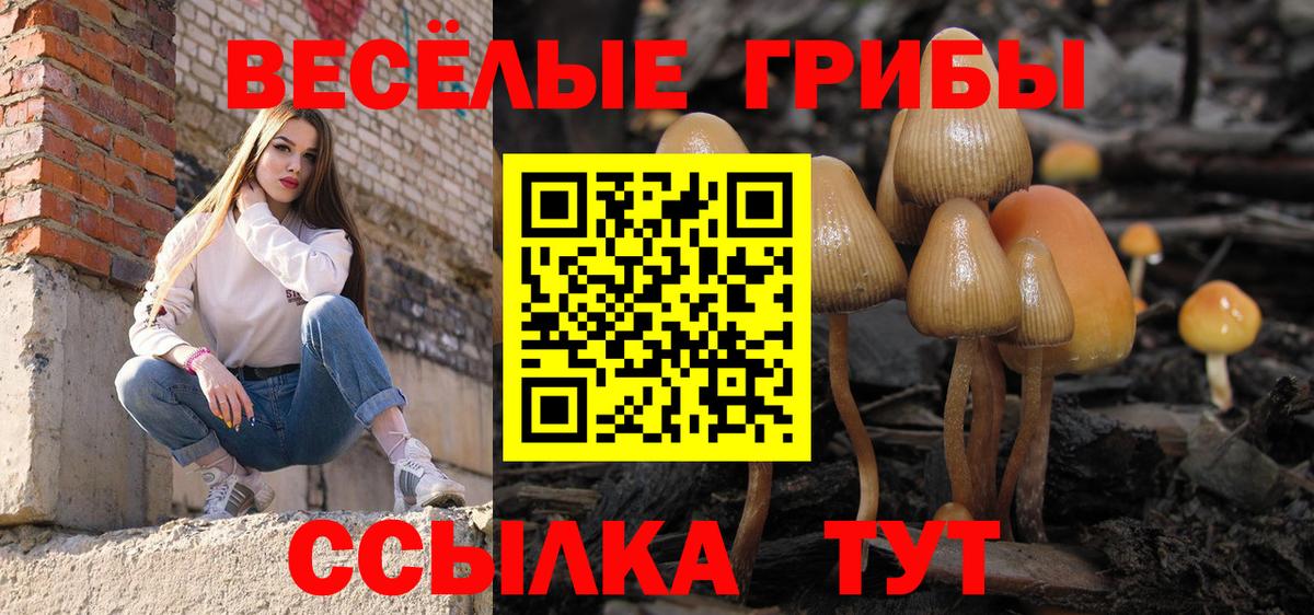 Набережные Челны  Псилоцибиновые грибы мухоморы  Вход с VPN 