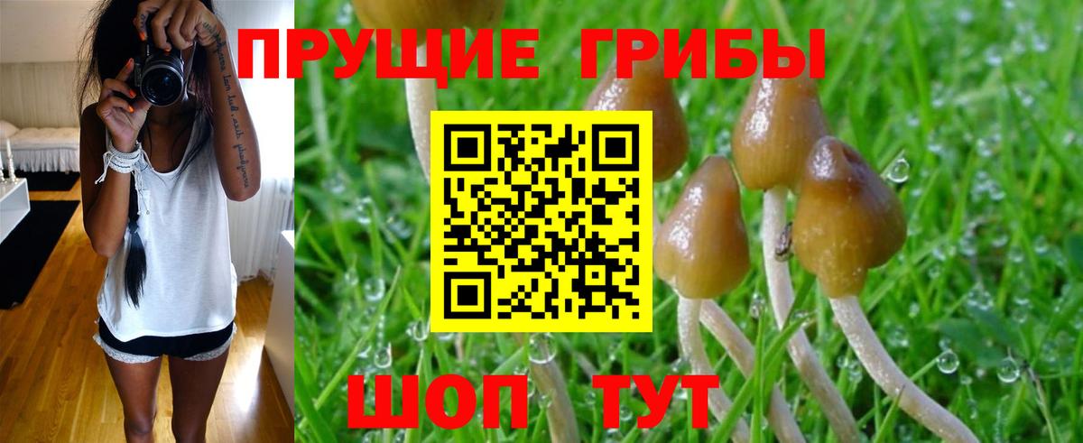 Галлюциногенные грибы Magic Shrooms Набережные Челны