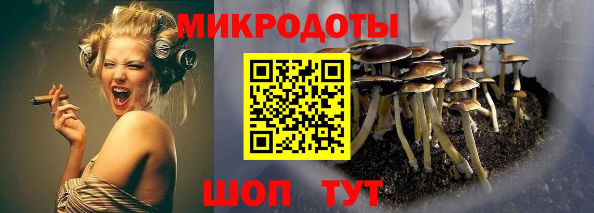 Псилоцибиновые грибы Magic Shrooms Набережные Челны